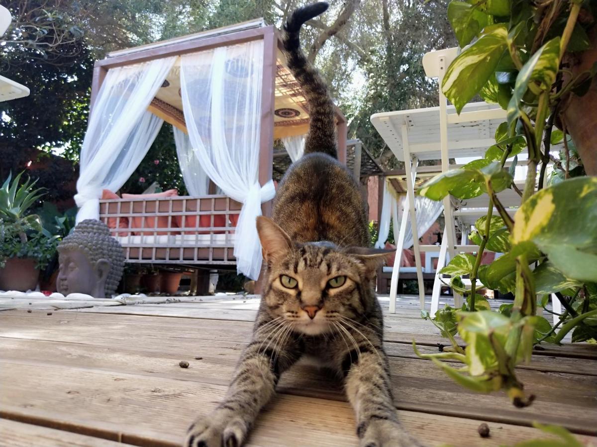 Отель La Posada De Lola - Adults Only Болония Экстерьер фото